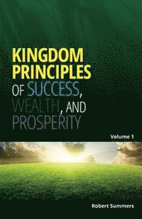 bokomslag Kingdom Principles of Success, Wealth and Prosperity