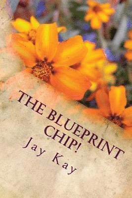 Jay Kay - The Blueprint Chip!: Adventure, Action, Thriller, Häftad