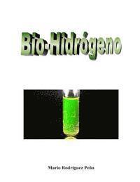 bokomslag Bio-Hidrógeno