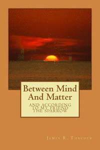 bokomslag Between Mind And Matter