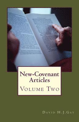 David H. J. Gay - New-Covenant Articles: Volume 2, Häftad