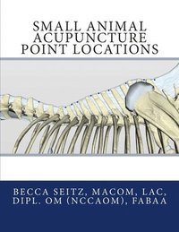 bokomslag Small Animal Acupuncture Point Locations