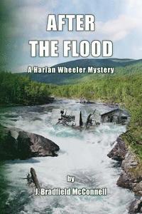 bokomslag After The Flood: A Harlan Wheeler Mystery