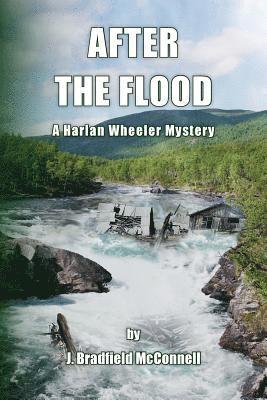 bokomslag After The Flood: A Harlan Wheeler Mystery