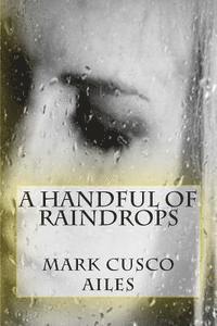 bokomslag A Handful Of Raindrops