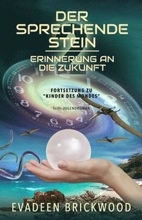 bokomslag Der Sprechende Stein