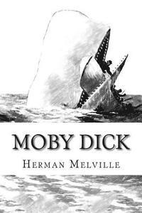 bokomslag Moby Dick: Or the Whale