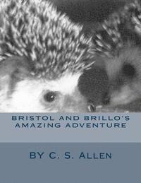 bokomslag Bristol and Brillo's Amazing Adventure