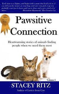 bokomslag Pawsitive Connection: Heartwarming stories of animals finding people when we need them most