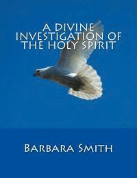 bokomslag A Divine Investigation of the Holy Spirit