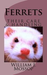 Ferrets: Their Care & Handling 1