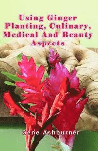bokomslag Using Ginger: Planting, Culinary, Medical And Beauty Aspects