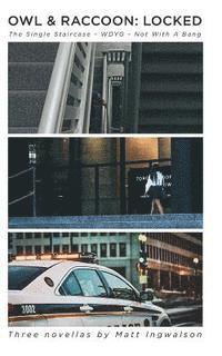 Matt Ingwalson - Owl & Raccoon: Locked, Häftad