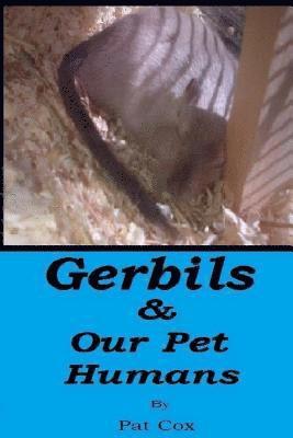 Gerbils & our pet Humans 1