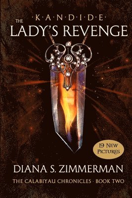 Diana S. Zimmerman - KANDIDE THE Lady's Revenge: Book Two, Häftad