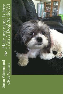Clyde Winters, Susan D. Winters - Hello my name Is Jetty I Am A Dog! At the Vet, Häftad