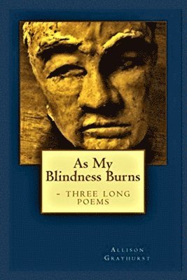 bokomslag As My Blindness Burns - three long poems