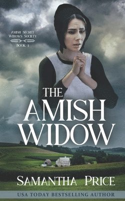 bokomslag The Amish Widow