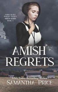 bokomslag Amish Regrets