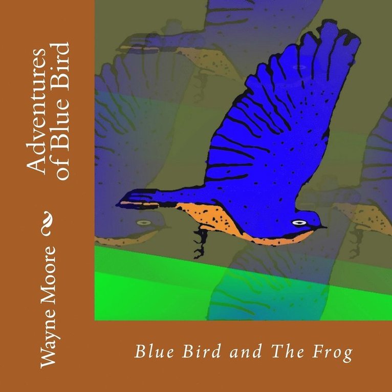 Wayne Moore - Adventures of Blue Bird, Häftad. Tillgänglighet: Lägg i varukorg