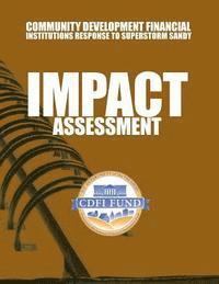 Community Development Financial Institutions Response to Superstorm Sandy Impact Assessment 1