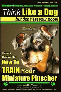 bokomslag Miniature Pinscher, Miniature Pinscher Training AAA AKC Think Like a Dog But Don't Eat Your Poop! Miniature Pinscher Breed Expert Training: Here's EXA