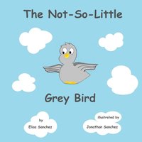 bokomslag The Not-So-Little Grey Bird