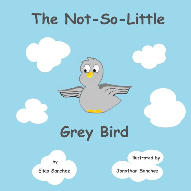 The Not-So-Little Grey Bird 1