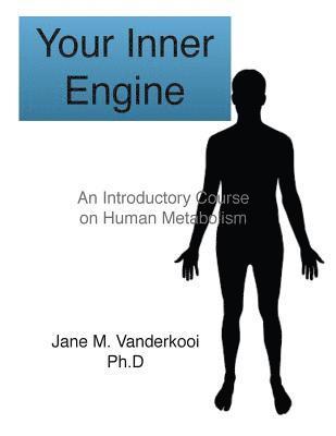 bokomslag Your Inner Engine: An introductory course on human metabolism