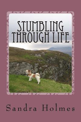 bokomslag Stumbling Through Life: A personal account of life in one of the harsh boarding schools in the UK