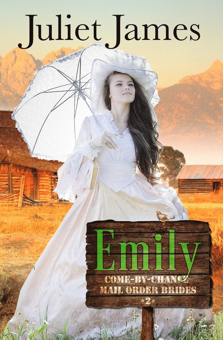 Juliet James - Emily - Book 2 Come By Chance Mail Order Brides, Häftad