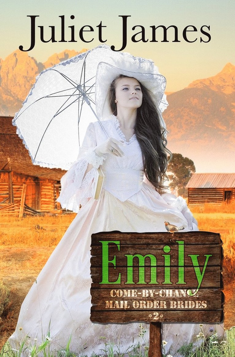 Emily - Book 2 Come By Chance Mail Order Brides 1