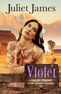 bokomslag Violet - Book 3 Come By Chance Mail Order Brides