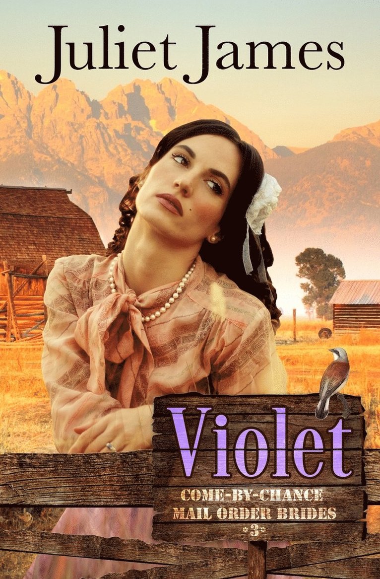 Violet - Book 3 Come By Chance Mail Order Brides 1