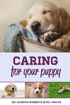 bokomslag Caring for Your Puppy: How to care for your puppy and everything you need to know to keep them well.