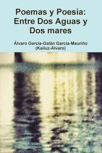 bokomslag Entre Dos Aguas Y Dos Mares: Poemas y Poesía de Kailuz-Álvaro