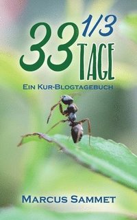 bokomslag 33 1/3 Tage