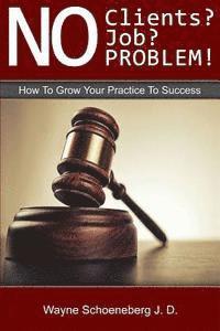 bokomslag No Clients? No Job? No Problem!: How To Grow Your Practice To Success