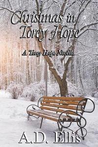 bokomslag Christmas in Torey Hope: A Novella