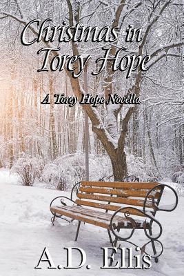 A. D. Ellis - Christmas in Torey Hope: A Novella, Häftad
