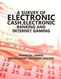 bokomslag A Survey of Electronic Cash, Electonic Banking, and Internet gaming