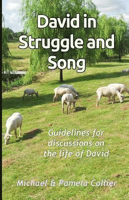 Pamela Collier, Michael Collier - David in Struggle and Song: Guidelines for discussions on the life of David (black & white version), Häftad