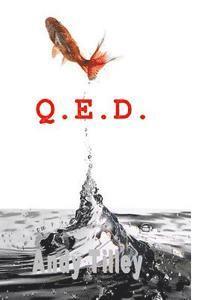 bokomslag Q.E.D