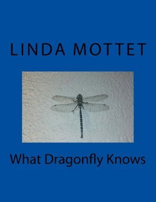 bokomslag What Dragonfly Knows
