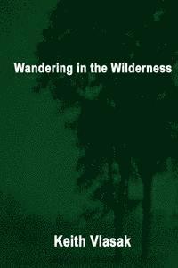 bokomslag Wandering in the Wilderness: (Kinky, Quirky, and Desperation Stories)