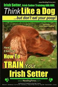 bokomslag Irish Setter, Irish Setter Training AAA AKC: Think Like a Dog But Don't Eat Your Poop! Irish Setter Breed Expert Training: Here's EXACTLY How to Train