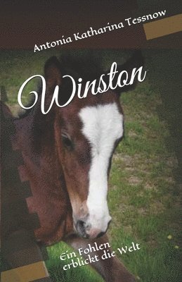 Winston: Ein Fohlen erblickt die Welt 1