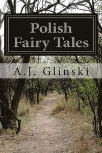 bokomslag Polish Fairy Tales