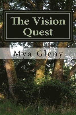 bokomslag The Vision Quest: A Journey with StarSeed Woman