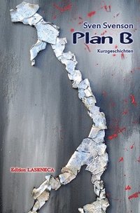bokomslag Plan B